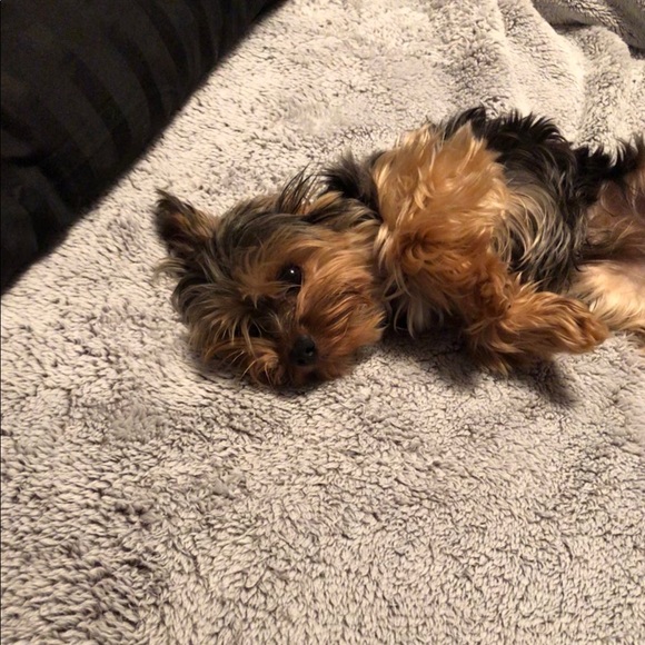 Welcome - Picture 1 of 8